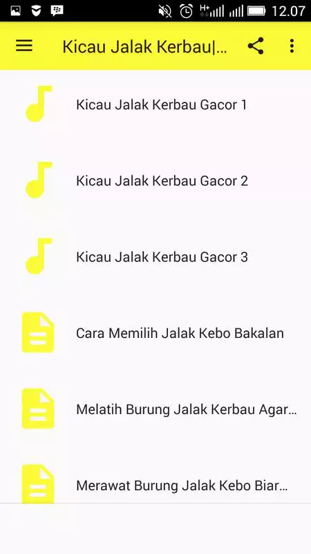 Play Kicau Jalak Kerbau||Gacor